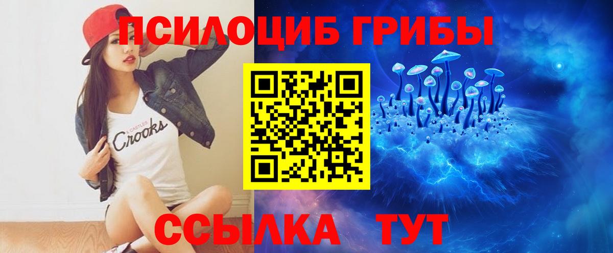 Благовещенск  Галлюциногенные грибы ЛСД  Вход с VPN 